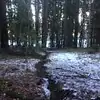 korisnik Google recenzije